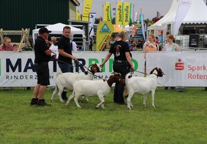 BUZ Züchterfamilie Schlake Schütz mit ihren vorgestellten Ziegen